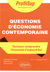 Questions d'économie contemporaine - Dembik Christopher ; Ruimy Michel ; Tenne Adrien