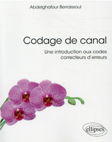 Codage de canal. Une introduction aux codes correcteurs d'erreurs - Berraissoul Abdelghafour