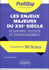 Les enjeux majeurs du XXIe siècle. Economie, société et environnement - Vérez Jean-Claude