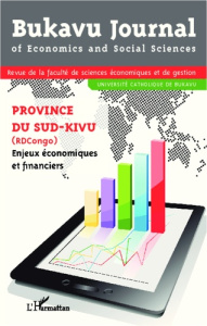Province du sud-kivu (République Démocratique du Congo). Enjeux économiques et financiers