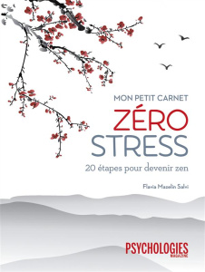 Mon petit carnet zéro stress. 20 étapes pour devenir zen - Mazelin Salvi Flavia