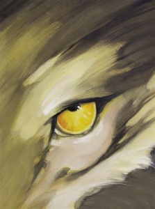 Meutes Tome 1 : Lune rouge avec making of. 2 volumes - Dufaux Jean ; Boiscommun Olivier G.