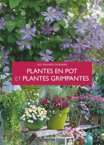 Plantes en pot et plantes grimpantes - Robert Amélie ; Adeline Pascale ; Loppé Michel