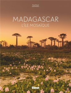 Madagascar. L'île mosaïque - Paturel Marie ; Montico Lionel