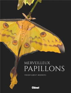 Merveilleux papillons - Albouy Vincent