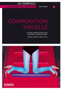 Composition visuelle - Präkel David ; Valentin Véronique