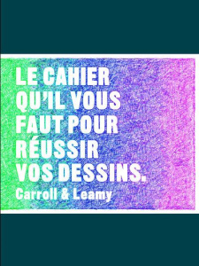 Le cahier qu'il vous faut pour réussir vos dessins - Leamy Selwyn ; Carroll Henry ; Favre Audrey