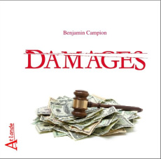 Damages. Une justice à deux visages - Campion Benjamin