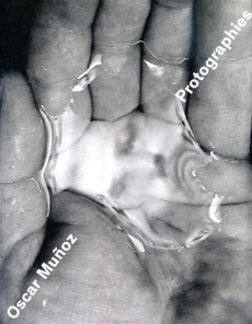 Protographies. Edition bilingue français-anglais - Muñoz Oscar ; Roca José ; Alloa Emmanuel ; Wills L