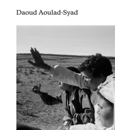 Daoud Aoulad-Syad. Edition bilingue français-anglais - Aoulad-Syad Daoud ; Mekouar Mouna ; Monterosso Jea