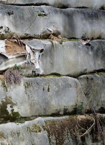La fabrique du pré. Edition bilingue français-anglais - Weiner Cyrille ; Pilven Marguerite ; Bouchain Patr