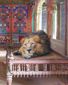 Fables et autres contes - Knorr Karen