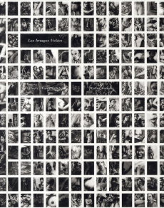 Les images volées - Van Hasselt Thierry ; Lauzon Mylène