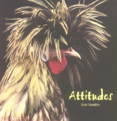 ATTITUDES - SANDER E