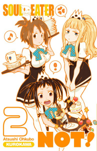 Soul Eater not Tome 2 - Ohkubo Atsushi ; Vautrin Fabien