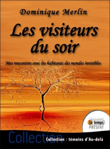 Les visiteurs du soir. Rencontres avec les habitants des mondes invisibles - Merlin Dominique
