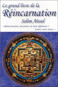 Le grand livre de la réincarnation / Réincarnation, récurrence ou mort définitive ? Faites votre cho - Aïssel Selim