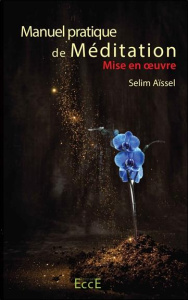 Manuel pratique de méditation - Mise en oeuvre - Aïssel Selim