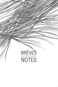 Brèves notes - Maury Ganaelle