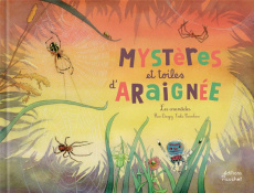 Mystères et toiles d'araignée ! Les aranéides - Daugey Fleur ; Vanvolsem Emilie