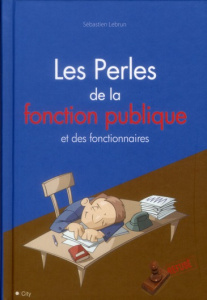 Les perles de la fonction publique et des fonctionnaires - Lebrun Sébastien