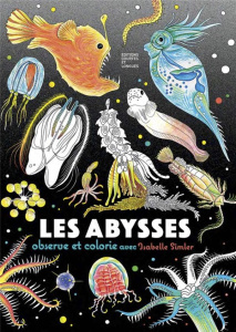 Les Abysses - Simler Isabelle