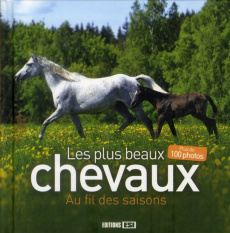 Les plus beaux chevaux. Au fil des saisons - BROZINSKA ANASTAS.