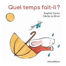 Quel temps fait-il ? - Caron Sophie ; Le Brun Cécile