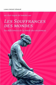 Les souffrances des mondes - Cheuky Sengué