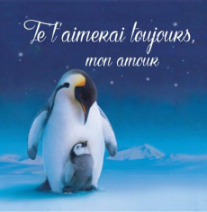 Je t'aimerai toujours, mon amour - Mendez Simon ; Freedman Claire