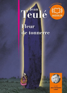 Fleur de tonnerre. 1 CD audio MP3 - Teulé Jean ; Lebert Jean-Christophe