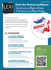 Droit des finances publiques. Les finances publiques étatiques et les finances publiques locales - Bourrel Romain