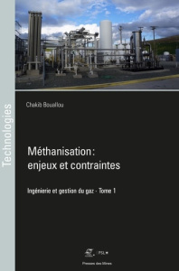 Ingénierie et gestion du gaz. Tome 1, Méthanisation : enjeux et contraintes - Bouallou Chakib