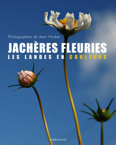 Jachères fleuries. Les Landes en couleurs - Hincker Jean ; Emmanuelli Henri ; Pelt Jean-Marie