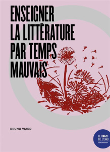 Enseigner la littérature par temps mauvais - Viard Bruno