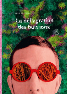 La Déflagration des buissons - Chapallaz Julie