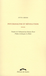 PSYCHANALYSE ET REVOLUTION - GROSS/LE RIDER