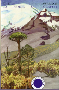 Nouvelles complètes Tome 4 : La femme qui s'enfuit. Et autres nouvelles - Lawrence David Herbert ; Amfreville Marc ; Vialle