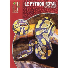 Le python royal. Python Regius - Bonke René
