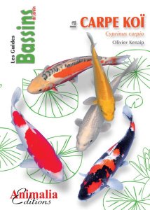 La carpe koï. Cyprinus carpio - Kenaip Olivier