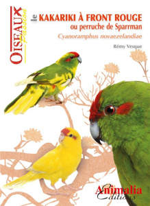 Le kakariki à front rouge ou perruche de Sparrman - Vesque Rémi