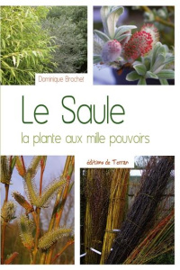 Le saule. La plante aux mille pouvoirs - Brochet Dominique