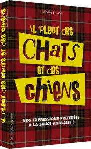 Il pleut des chats et des chiens. Nos expressions préférées à la sauce anglaise ! - Brisson Isabelle