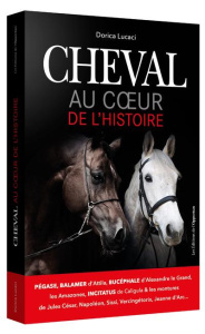 Cheval. Au coeur de l'histoire - Lucaci Dorica