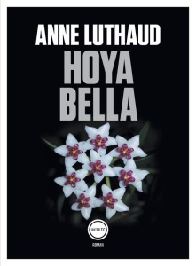 Hoya bella - Luthaud Anne
