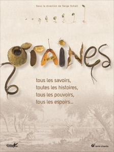 Graines. Tous les savoirs, toutes les histoires, tous les pouvoirs, tous les espoirs - Schall Serge ; Arnould Marie ; Aubert Emmanuelle ;