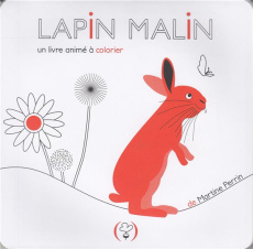 Lapin malin. Un livre animé à colorier - Perrin Martine