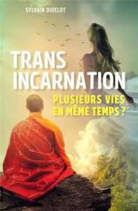 Transincarnation. Plusieurs vies en même temps ? - Didelot Sylvain ; Seval Christel
