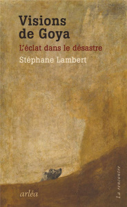 Visions de Goya. L'éclat dans le désastre - Lambert Stéphane