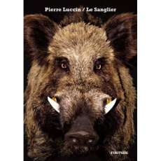 Le Sanglier - Luccin PIerre
